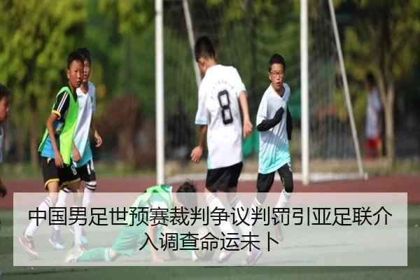 中国男足世预赛裁判争议判罚引亚足联介入调查命运未卜