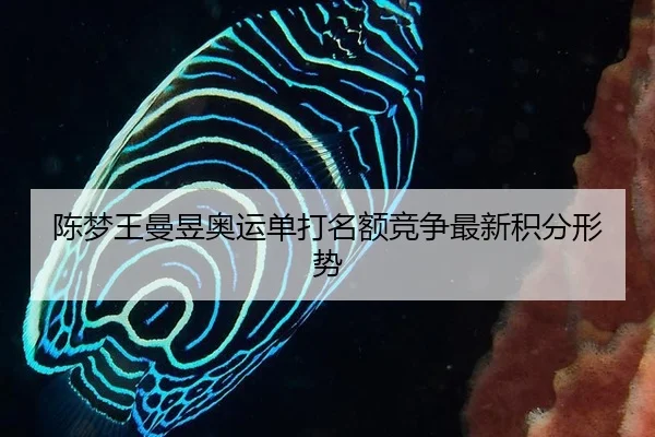 chen-meng-wang-man-yu-ao-yun-dan-da-ming-e-jing-zheng-zui-xin-ji-fen-xing-shi-2-613.jpg